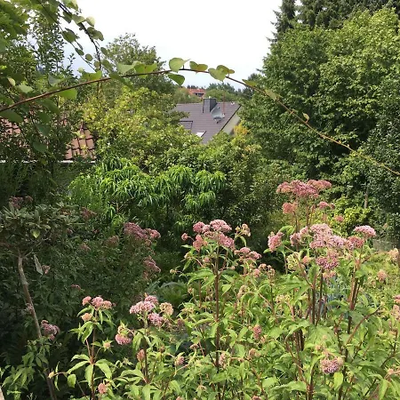 Almyssen Holiday home